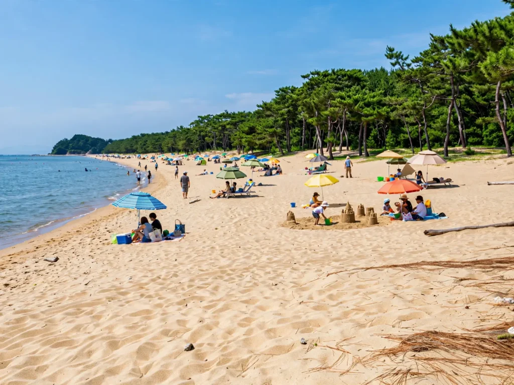 Gyeongpo Beach in Gangneung on a summer day, with its pine forest behind the sand