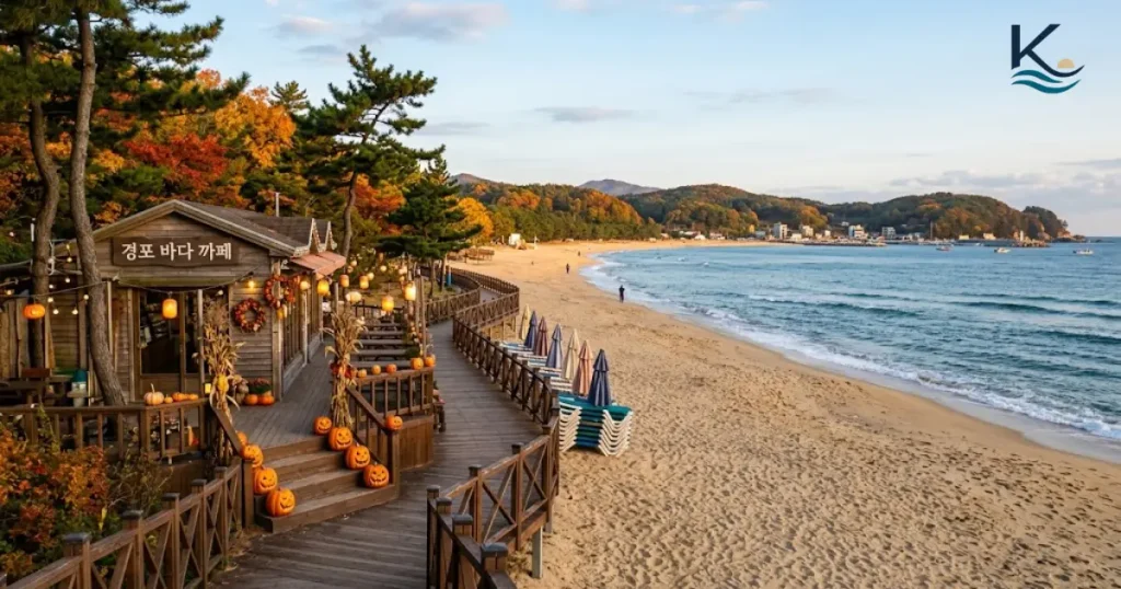 Off-season South Korean beach walkway decorated with jack-o'-lanterns near a wooden seaside cafe in autumn.