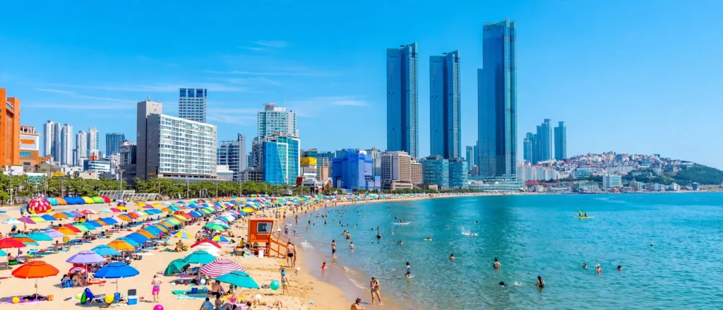 Haeundae Beach in Best Busan Beaches on a sunny day, with umbrellas and swimmers