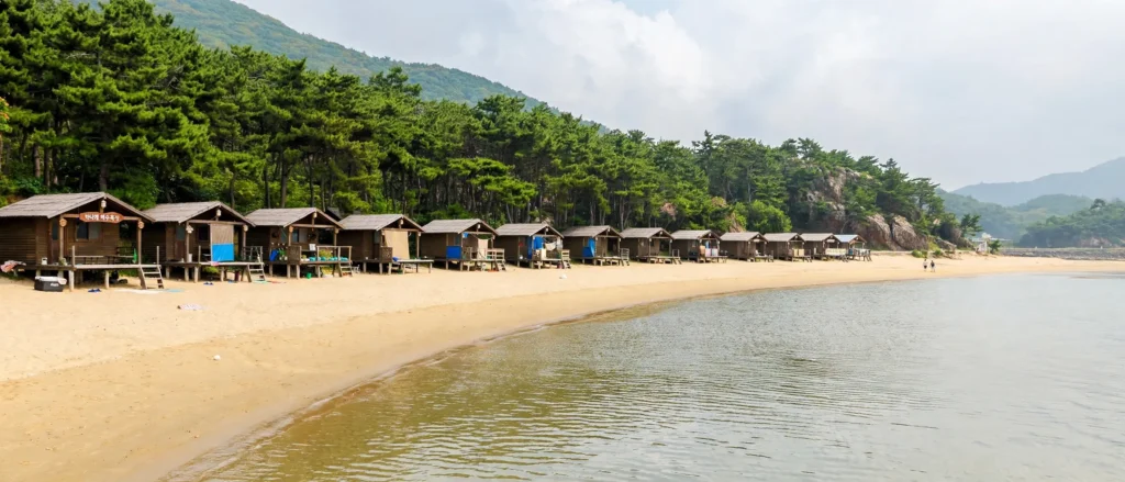Hanagae Beach on Muuido Island with calm water and pine trees near Incheon, South Korea